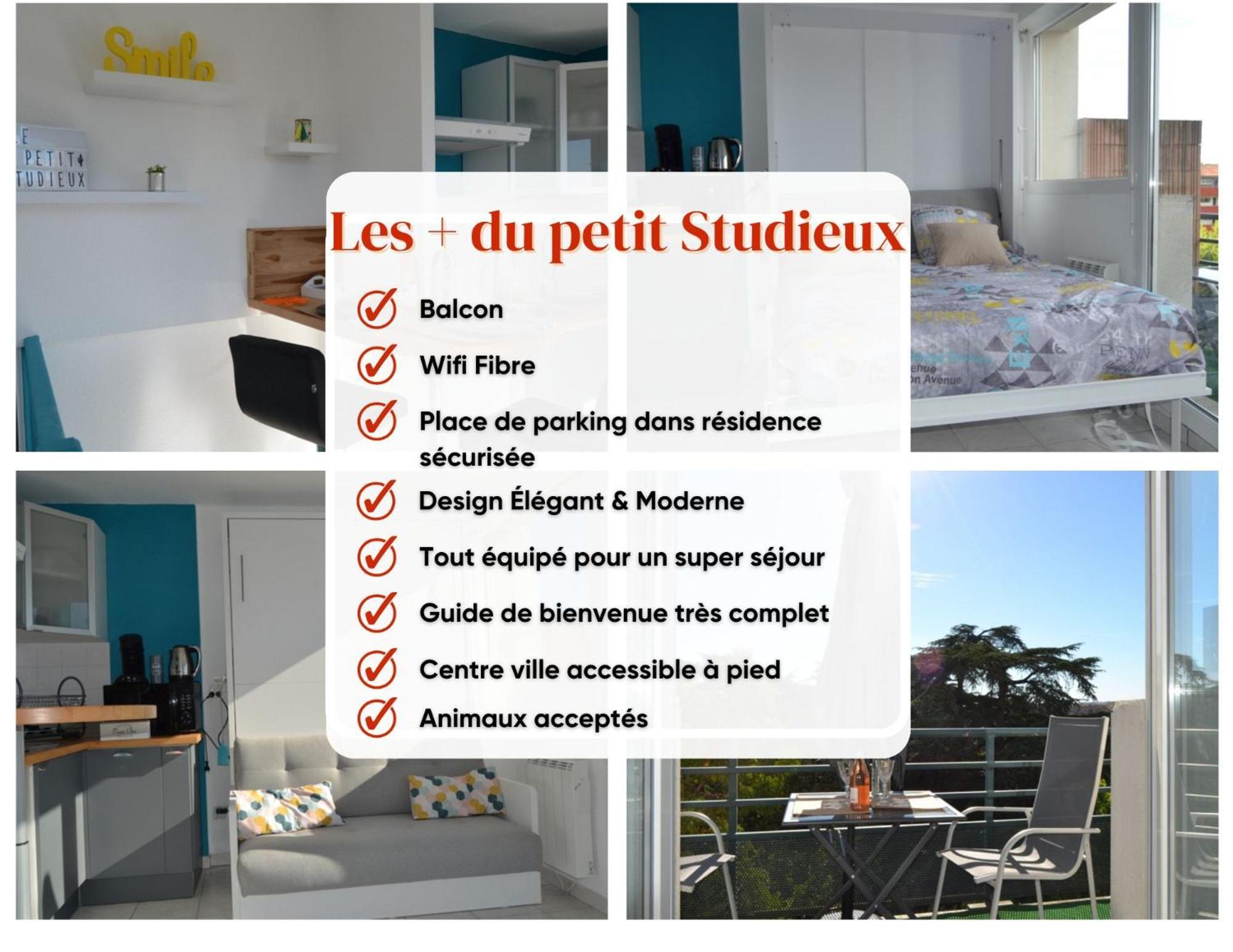 Le Petit Studieux - Parking - Animaux Acceptes - Centre Ville Accessible A Pied Albi Exterior photo