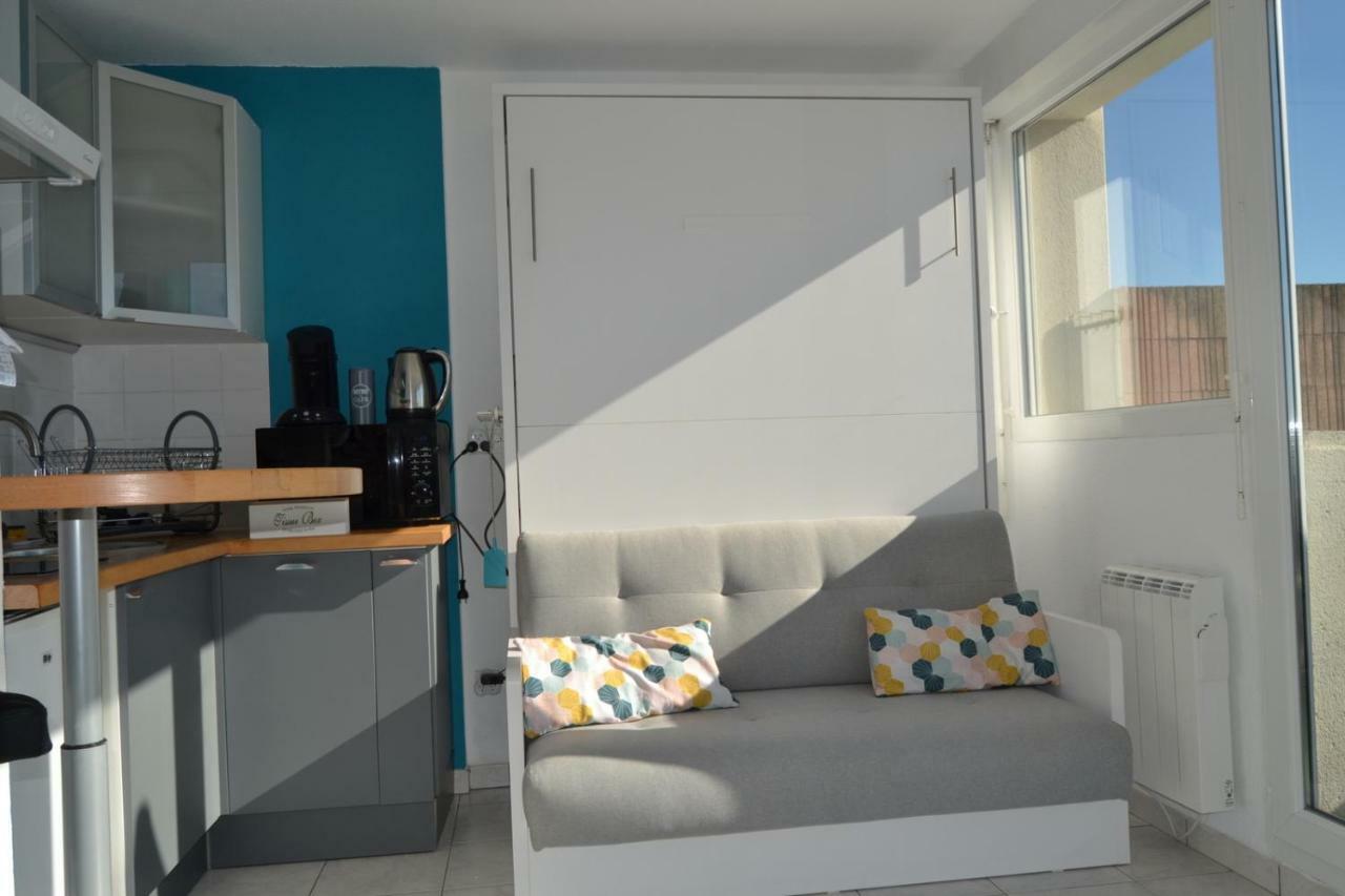 Le Petit Studieux - Parking - Animaux Acceptes - Centre Ville Accessible A Pied Albi Exterior photo