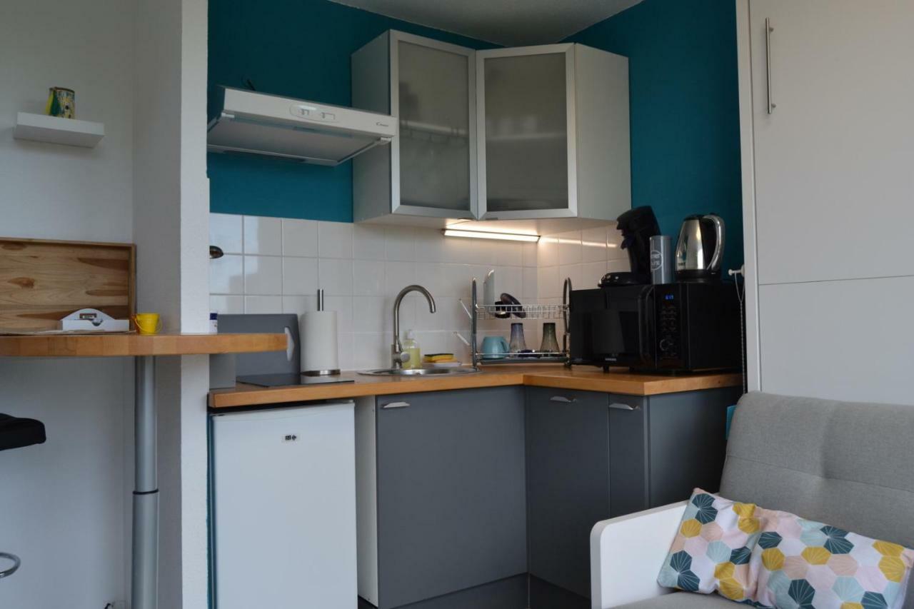 Le Petit Studieux - Parking - Animaux Acceptes - Centre Ville Accessible A Pied Albi Exterior photo
