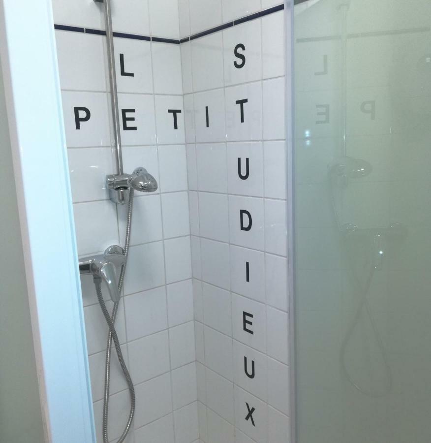 Le Petit Studieux - Parking - Animaux Acceptes - Centre Ville Accessible A Pied Albi Exterior photo